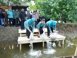 Ny. Endang Kurniasih Dampingi Kahiyang Ayu Tinjau Posyandu dan Tabur 15.000 Benih Ikan Nila  di Langkat