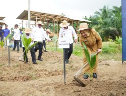Pemkab Langkat Zoom Meeting Bersama Kemenimipas Dukung Program Asta Cita Presiden Tanam 360 Ribu Pohon Kelapa