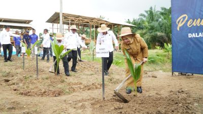 Pemkab Langkat Zoom Meeting Bersama Kemenimipas Dukung Program Asta Cita Presiden Tanam 360 Ribu Pohon Kelapa