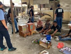 Polrestabes Medan Gerebek Lokasi Narkoba di Jermal 15, Lima Orang Ditangkap Polisi