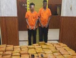 Polda Sumut Gagalkan Penyeludupan Ganja 255 Kg, 2 Kurir dan Mobil Diamankan