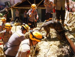 Tim K-9 Polri Temukan Titik Diduga Lokasi Korban Longsor Sibolga, Polda Sumut Pastikan Pencarian Terus Dilanjutkan