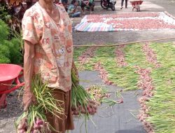 Meski Diterpa Cuaca Ekstrim, Program CSR SOL Mampu Dorong Produktivitas Petani Bawang Merah Mencapai Rp350 Juta