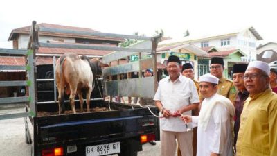 Bupati Syah Afandin dan Wabup Tiorita Berbagi Hewan Qurban untuk Warga Besilam