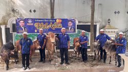 KOMBAT Sumut Sembelih 6 Hewan Qurban Idul Adha 1447 H