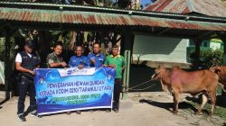 Peringati Idul Adha 1447 H, SOL Serahkan 5 Sapi Kurban di Tapanuli Utara
