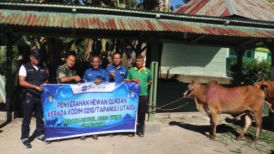 Peringati Idul Adha 1447 H, SOL Serahkan 5 Sapi Kurban di Tapanuli Utara