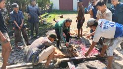 Iduladha 1447 H, PWI Sumut Sembelih 6 Hewan Kurban
