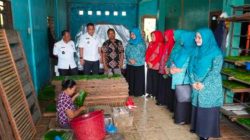 Tinjau UP2K Sukamaju, Ketua TP PKK Binjai: UP2K Gerakan Ekonomi Keluarga yang Mandiri