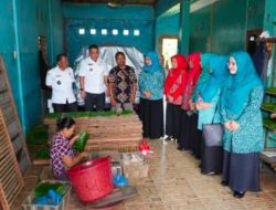 Tinjau UP2K Sukamaju, Ketua TP PKK Binjai: UP2K Gerakan Ekonomi Keluarga yang Mandiri
