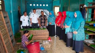 Tinjau UP2K Sukamaju, Ketua TP PKK Binjai: UP2K Gerakan Ekonomi Keluarga yang Mandiri