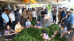 Wagub Sumut Surya Dorong Hilirisasi Rumput Laut Nias Utara, Jadi Produk Bernilai Tambah