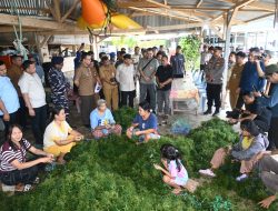 Wagub Sumut Surya Dorong Hilirisasi Rumput Laut Nias Utara, Jadi Produk Bernilai Tambah