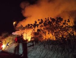 El Nino Kuat Picu Karhutla, 518 Titik Panas di Kalimantan Terdeteksi dalam Sehari