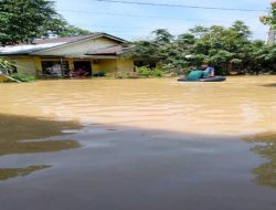 Ribuan Rumah di 5 Kecamatan Langkat Terendam Banjir, BPBD Turunkan Perahu