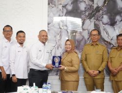 Plt Bupati Tiorita Soroti Listrik Langkat Hulu Mati 10 Kali Sehari: Dorong Percepat Layanan