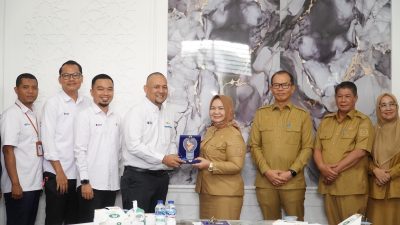 Plt Bupati Tiorita Soroti Listrik Langkat Hulu Mati 10 Kali Sehari: Dorong Percepat Layanan