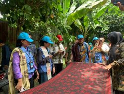 Kelurahan Mencirim Wakili Binjai di Program Kampung Kreatif Sumut Berkah, Wali Kota Paparkan Potensi Unggulan
