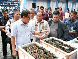 Sumut Lepas Ekspor Komoditas Unggulan Rp258,9 Miliar ke 16 Negara